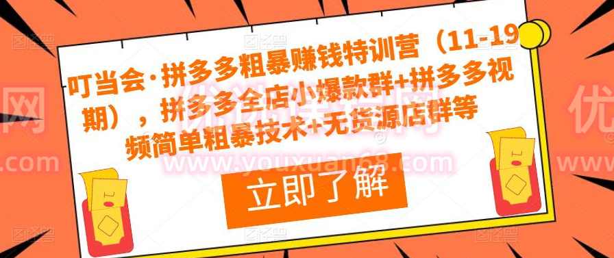 叮当会·拼多多粗暴赚钱特训营（11-19期），拼多多全店小爆款群+拼多多视频简单粗暴技术+无货源店群等