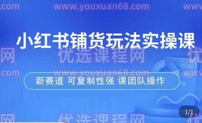 小红书铺货玩法实操课，流量大，竞争小，非常好做，新赛道，可复制性强，可团队操作,课程,学习,团队,竞争,电子商务,第1张