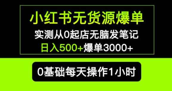 小红书无货源爆单实测从0起店无脑发笔记爆单3000+长期项目可多店,学习,第1张