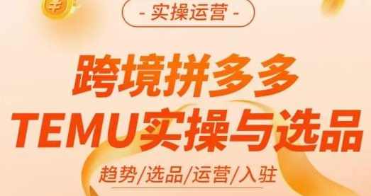 伍跃·跨境拼多多TEMU实操与选品，趋势/选品/运营/入住（27节完整）,课程,电商,电子商务,第1张