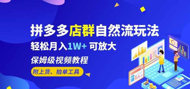 拼多多店群自然流玩法，轻松月入1W+保姆级视频教程（附上货、拍单工具）,课程,学习,管理,发展,专业,第1张