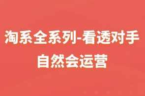 淘系全系列-看透对手，自然会运营,课程,目标,竞争,电子商务,第1张