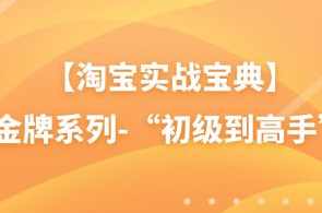 【淘宝实战宝典】金牌系列-“初级到高手”