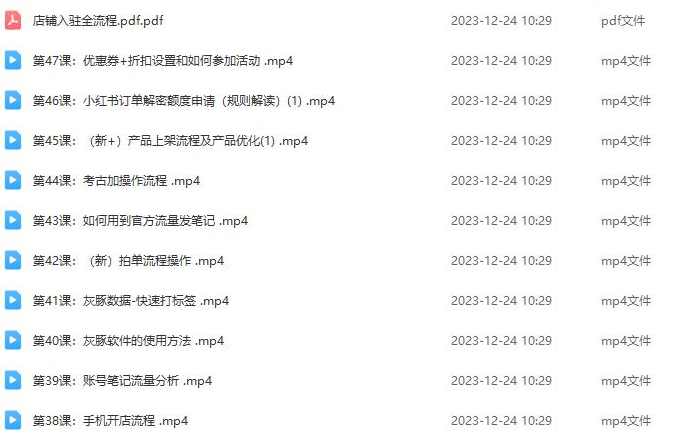 小红书电商运营从入门到精通，店铺入住全流程文档+爆款文案词，自有非凡收获,课程,模板,电商,电商运营,第2张