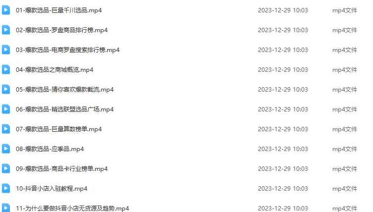 抖音小店精细化运营陪跑，提升更高利润,课程,模板,电商,电子商务,商城,第2张