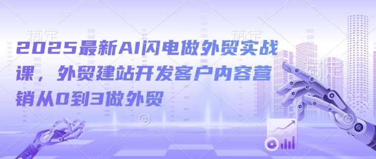 2025最新AI闪电做外贸实战课，外贸建站开发客户内容营销从0到3做外贸,管理,专业,定位,竞争,模板,电子商务,脚本,人工智能,SEO,适应,第1张