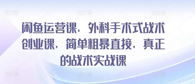 闲鱼运营课，外科手术式战术创业课，简单粗暴直接，真正的战术实战课,课程,竞争,模板,数据分析,第1张