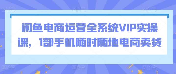 闲鱼电商运营全系统VIP实操课，1部手机随时随地电商卖货,课程,管理,定位,电商,支持,第1张