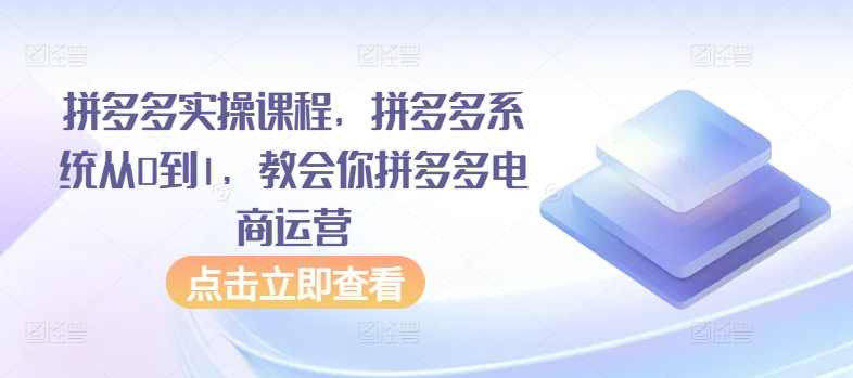拼多多实操课程，拼多多系统从0到1，教会你拼多多电商运营