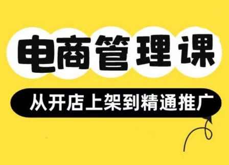 小红书&amp;闲鱼开店从开店上架到精通推广，电商管理课,课程,管理,电商,第1张