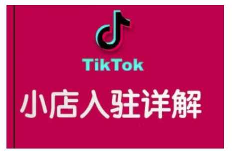 阿华TikTok跨境小店运营全攻略，帮助你独立运营TK跨境小店的能力，实现销量增长,课程,管理,攻略,收款,第1张