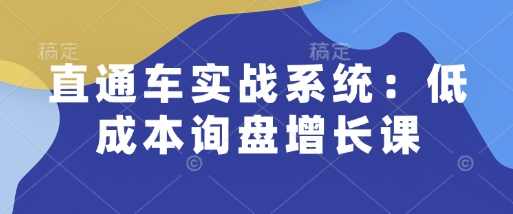 直通车实战系统：低成本询盘增长课，让个人通过技能实现升职加薪，让企业低成本获客，订单源源不断