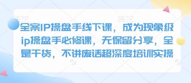 全案IP操盘手线下课，成为现象级ip操盘手必修课，无保留分享，全是干货，不讲废话超深度培训实操,课程,管理,直播,团队,流量获取,第1张