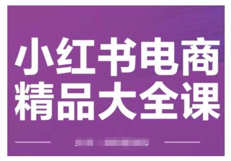 小红书电商精品大全课，快速掌握小红书运营技巧，实现精准引流与爆单目标，轻松玩转小红书电商,课程,管理,目标,电商,数据分析,第1张