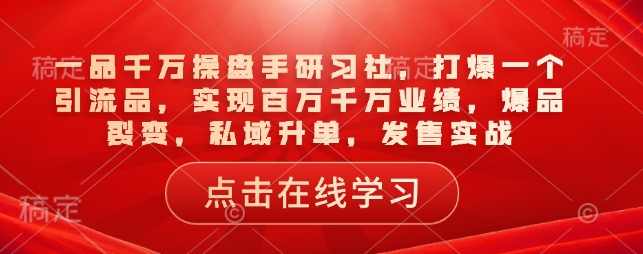 一品千万操盘手研习社，打爆一个引流品，实现百万千万业绩，爆品裂变，私域升单，发售实战,课程,直播,微信,第1张
