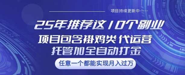 25年推荐这10个副业项目包含褂鸡类、代运营托管类、全自动打金类【揭秘】