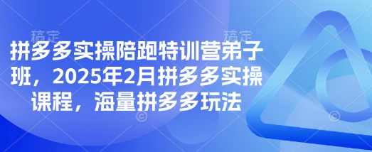 泓一弟子班拼多多实操陪跑特训营，2025年2月拼多多实操课程，海量拼多多玩法,课程,学习,第1张