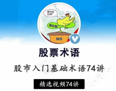 【张一山】炒股基础入门股市基础术语精讲74集,课程,第1张