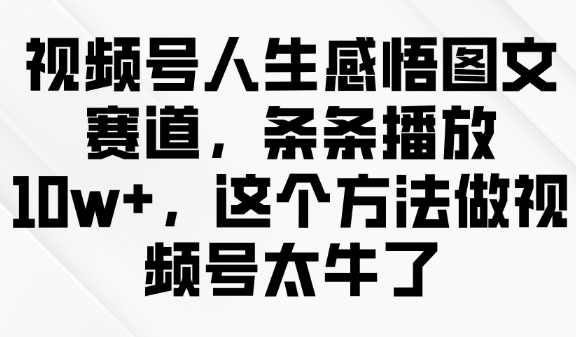 视频号人生感悟图文赛道，条条播放10w+，这个方法做视频号太牛了【揭秘】,课程,第1张