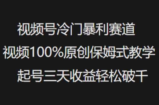 视频号冷门暴利赛道视频100%原创保姆式教学起号三天收益轻松破千【揭秘】,直播,第1张