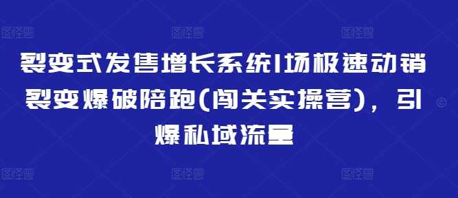 业绩裂变式发售增长系统1场极速动销裂变爆破陪跑(闯关实操营)，引爆私域流量,课程,数据分析,第1张