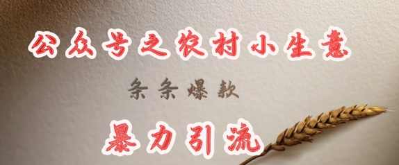 deepseek写农村小项目，条条爆款，暴力引流【揭秘】