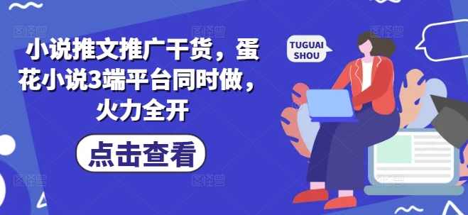 小说推文推广干货，蛋花小说3端平台同时做，火力全开【揭秘】