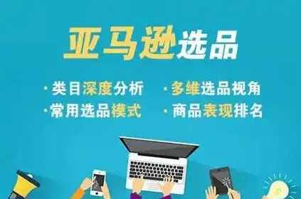 阿甘2025年亚马逊跨境电商选品案例，跨境电商利基选品,课程,竞争,电商,成长,健康,第1张