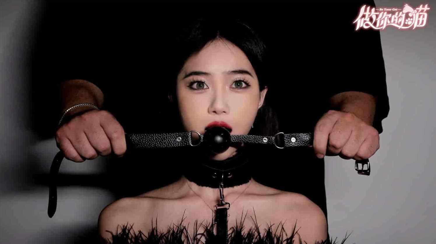 【做你的猫/BeYourCat】Build.15705240|官方简体中文|,支持,领导,攻略,男人,恋爱,第5张