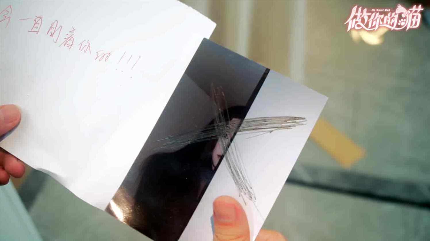 【做你的猫/BeYourCat】Build.15705240|官方简体中文|,支持,领导,攻略,男人,恋爱,第7张