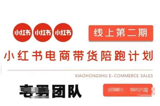 小红书电商带货课2期，月利润20个的小红书电商的有货源，无货源，虚拟产品，付费投流等整套玩法