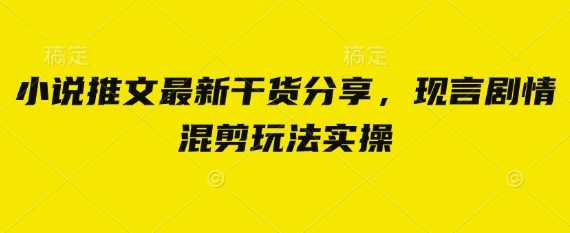 小说推文最新干货分享,现言剧情混剪玩法实操【揭秘】,课程,小说,第1张 小说推文最新干货分享,现言剧情混剪玩法实操【揭秘】,课程,小说,第1张