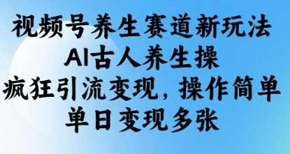 视频号养生赛道新玩法，AI古人养生操，疯狂引流变现，操作简单，单日变现多张【揭秘】