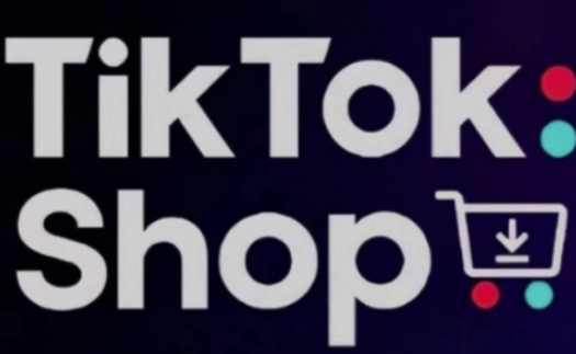 eric老师·TikTokShop跨境电商0-1实战，手把手教你低成本启动海外市场,课程,模板,电商,第1张