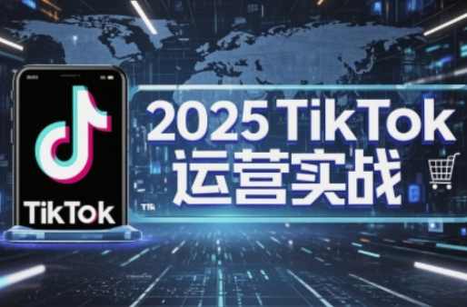 阿涛·2025TikTok电商运营，掌握TikTok店铺运营核心技巧，实现低成本高转化,课程,电商,数据分析,电商运营,第1张