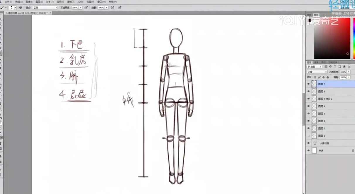 人体结构与比例初级入门之动漫绘制,课程,学习,第1张