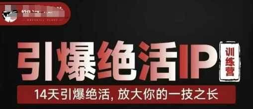 引爆绝活IP训练营14天引爆绝活，放大你的一技之长,课程,直播,定位,信任,第1张