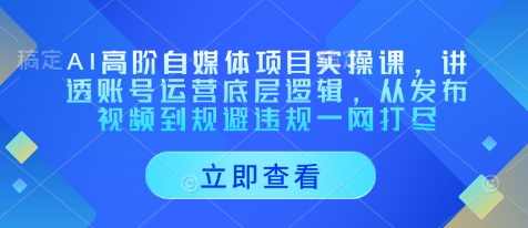 AI高阶自媒体项目实操课，讲透账号运营底层逻辑，从发布视频到规避违规一网打尽,课程,学习,模板,第1张