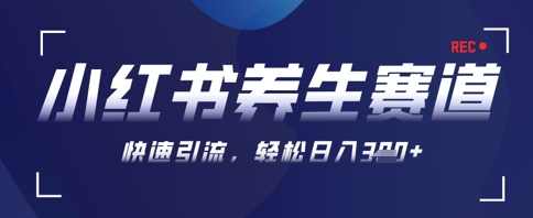AI+可画生成小红书养生作品，新手暴力起号，矩阵操作，轻松日入3张+
