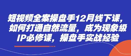 短视频全案操盘手12月线下课，如何打通自然流量，成为现象级IP必修课，操盘手实战经验,管理,团队,艺术,第1张