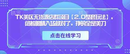 TK美区无货源店群项目【2.0整套玩法】，闭着眼睛入场就对了，挣的全是美刀,电商,第1张
