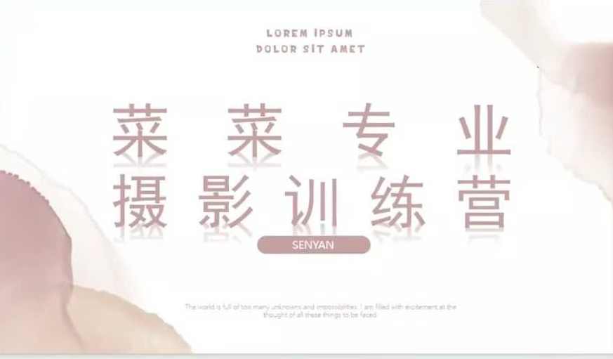 菜菜手作专业摄影训练营2025,手作摄影的艺术之旅