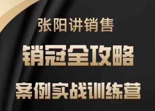 张阳讲销售实战训练营，案例实战训练，销冠全攻略