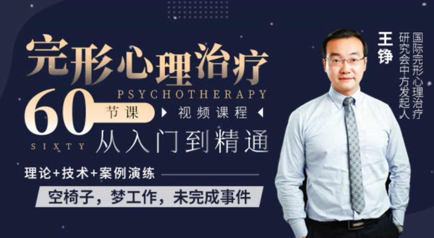 王铮完形心理治疗60节从入门到精通,课程,发展,理解,目标,成长,支持,第1张