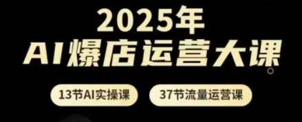 百川老师2025年AI爆店运营大课，13节AI实操课+37节流量运营课,课程,直播,定位,攻略,视频制作,第1张