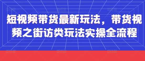 短视频带货最新玩法，带货视频之街访类玩法实操全流程【揭秘】,课程,第1张