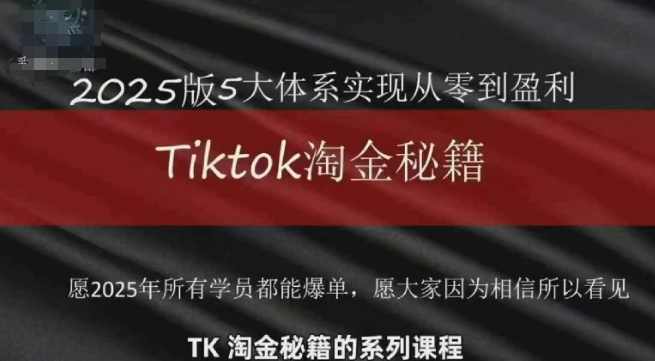 TikTok跨境2025淘金秘籍，​2025TikTok从0到盈利变现,数据分析,信任,第1张