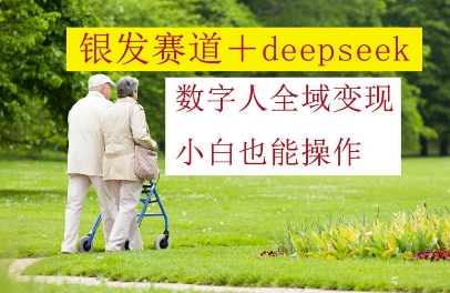 银发赛道+deepseek数字人全域变现，小白也能操作【揭秘】