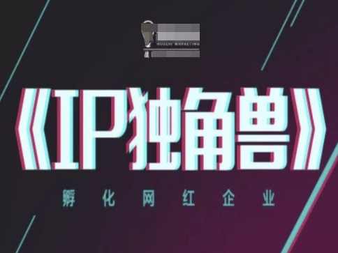 IP独角兽,孵化网红企业,ip教程,课程,视频制作,第1张 IP独角兽,孵化网红企业,ip教程,课程,视频制作,第1张