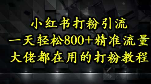 小红书打粉引流，一天轻松500+精准流量，大佬都在用的打粉教程【揭秘】,课程,副业,第1张